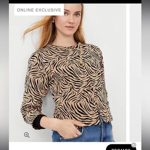 Ann Taylor Sweater/Light jacket